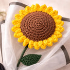 Oofy Everlasting Sunflower
